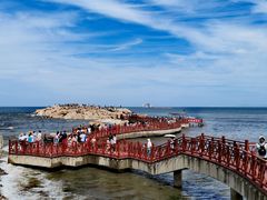 -养马岛旅游度假区