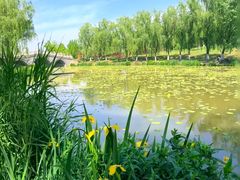 -西安浐灞国家湿地公园