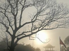 -蓝记云吞(正果店)