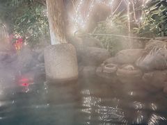 -张家港金凤凰度假村温泉