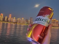 -武汉两江游览·夜游长江(汉口粤汉码头)