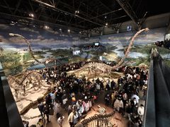 -自贡恐龙博物馆