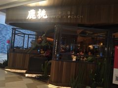 门面-大树餐厅(益田假日店)