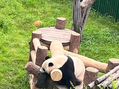 -沈阳森林动物园