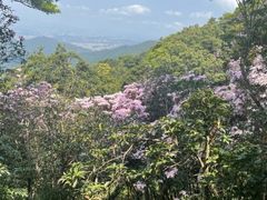 -梧桐山风景名胜区