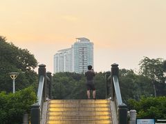 -荔湾湖公园