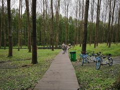 -黄海国家森林公园