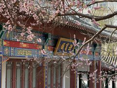 -桃花堤公园