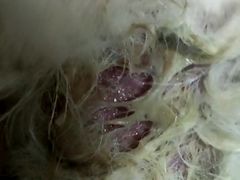 -暖阳宠物医院·犬猫康复中心·骨科