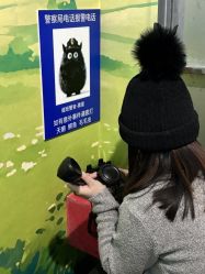 -疯狂冒险家-亲子密室-东坝店(金隅嘉品店)