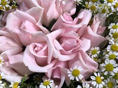 -循礼门鲜花花市(武汉循礼门店)