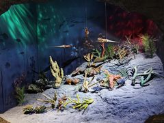 -安徽省地质博物馆