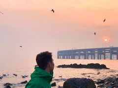 -星海湾跨海大桥