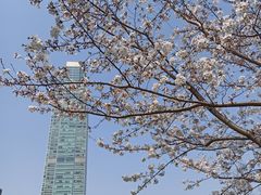 -静安雕塑公园