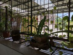 -郑厨私房菜