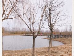 -东郊湿地公园
