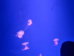 -鄂尔多斯野生动物园