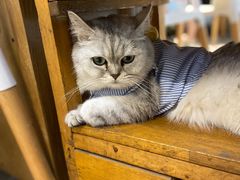-小时光咖啡馆(北锣鼓巷店)