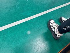 -东丽温泉羽毛球