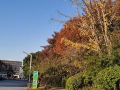 -九里河湿地公园