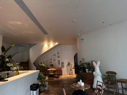 -WAVE SODA摄影工作室