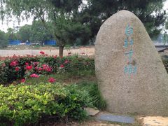 -八大山人梅湖景区
