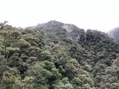 -九龙江国家森林公园