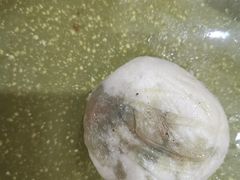 -舒小笼松针小笼包