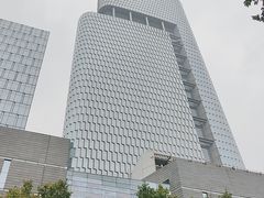 -紫峰大厦