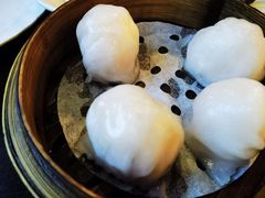 添运来虾饺皇-添运来(茶园奥园广场店)