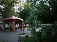 -黄村公园
