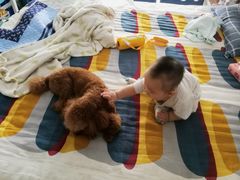 -暖阳宠物医院·犬猫康复中心·骨科
