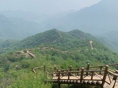 -大岭沟猕猴桃谷风景区