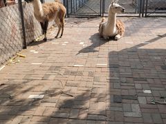 -长白岛森林公园