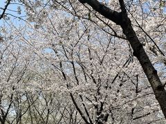 -白塘生态植物园