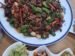 -食鸡公社辣子鸡·潍坊菜·烧烤