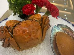 -丰尔粥食·顺德鱼生·干蒸排骨顺德菜(大良分店)