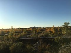-北药泉
