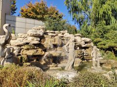 -南宫五洲植物乐园