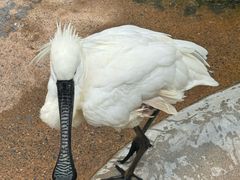 -杭州野生动物世界