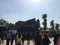 -秀丽东方