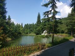-武陵山森林公园