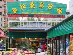 -曲阳花鸟市场(曲阳路店)