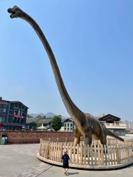 -恐龙探索乐园(磁器口店)