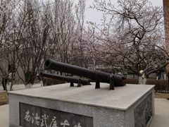 -桃花堤公园