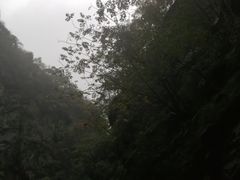 -秦岭风景区