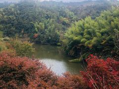 -四明湖