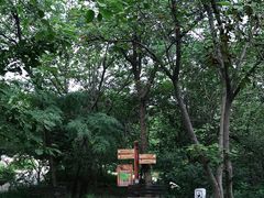 -北京周口店北京人遗址博物馆