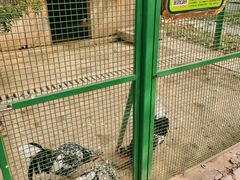 -宿豫区运河湾森林动物园