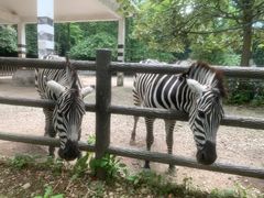 -贵州森林野生动物园